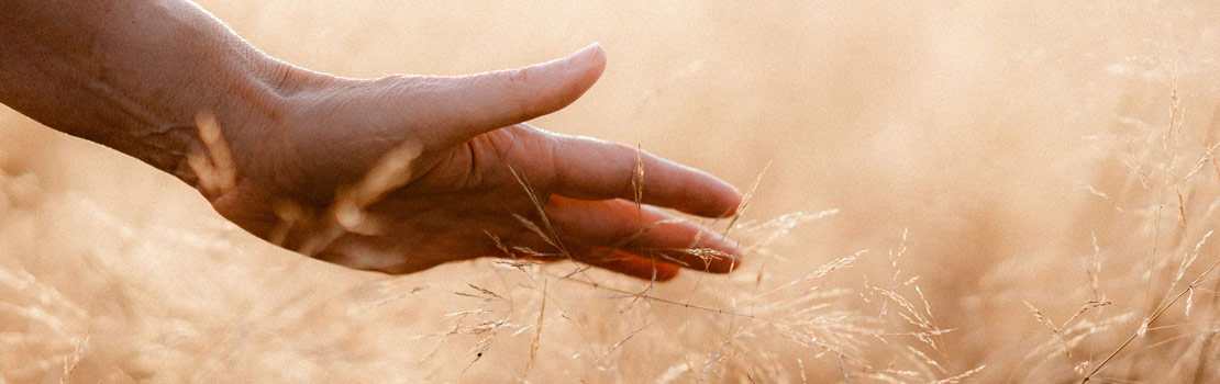 MBCT– Therapie bei Depressionen und Ängsten. Licht am Ende des Weges.