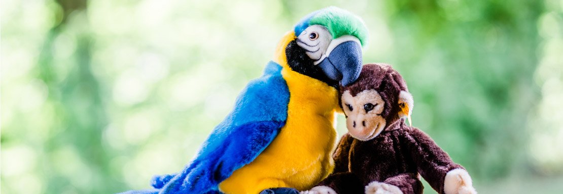 Affenstill – Achtsamkeitskurse für Kinder in Hövelhof