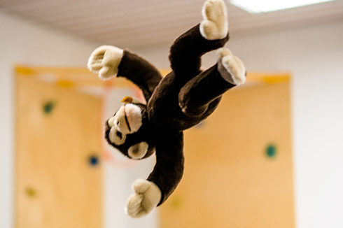 Imagebild fliegender Stoffaffe für die Evaluation des affenstill-Programms.