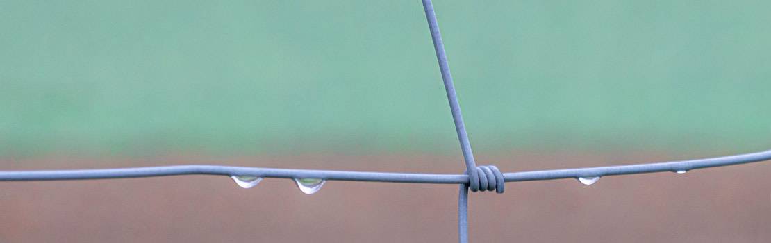 Kooperation und Zusammenarbeit mit vielen qualifizierten Kollegen und Kolleginnen, Einrichtungen und Instituten