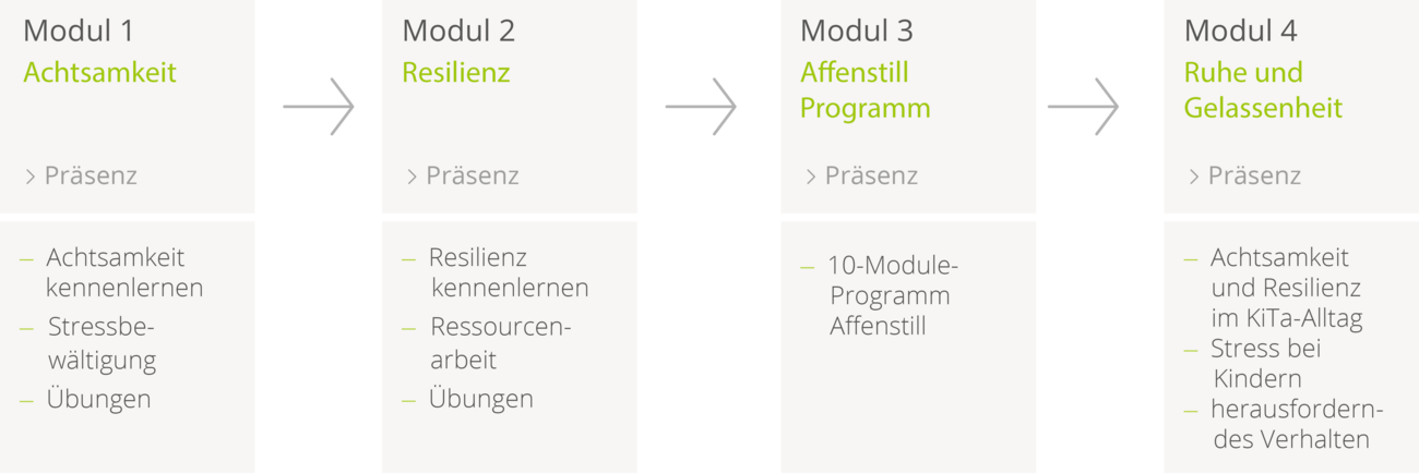 Trainingskonzept des affenstill-Programms